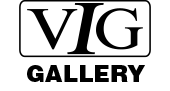 VIG Logo